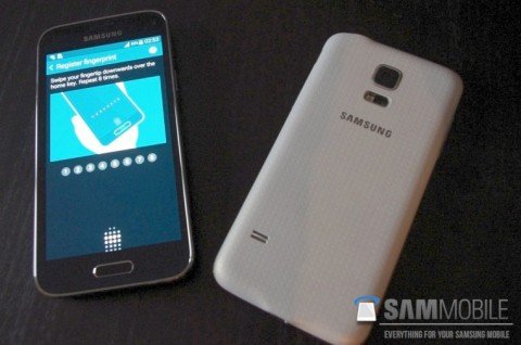 Samsung Galaxy S5 mini: фотографии и спецификации смартфона Samsung Galaxy S5 mini: фотографии и спецификации смартфона