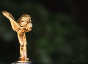 CNN получил награду за освещение событий в Украине CNN получил награду за освещение событий в Украине