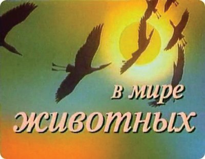Советское ТВ: заметки из будущего. 60-е: время надежд и ожиданий Советское ТВ: заметки из будущего. 60-е: время надежд и ожиданий
