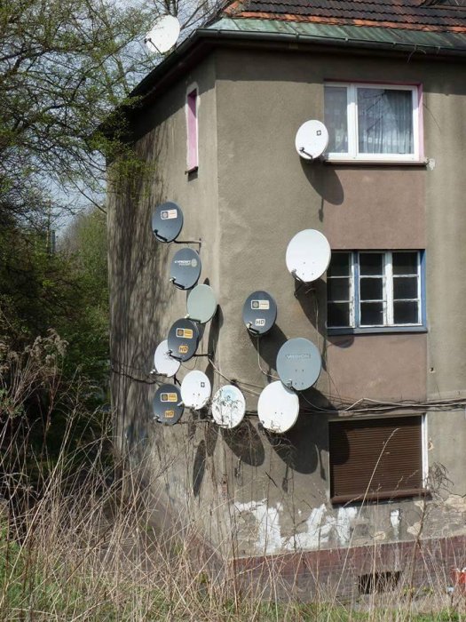 DTH в Польше: данные статистики