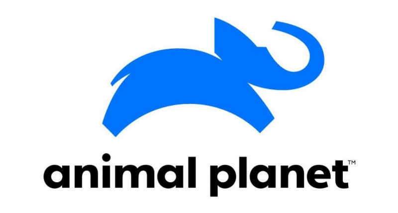 Телеканал Animal Planet сменит логотип